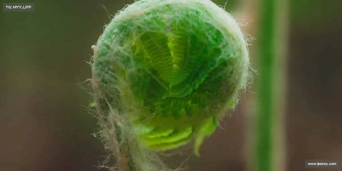 我们的核心竞争力